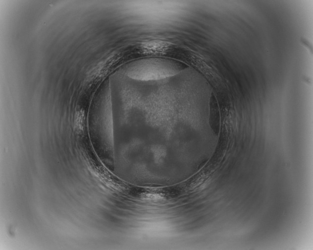 X0000101160649200807071159