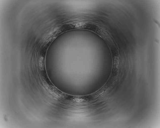 X0000101160650200807071159