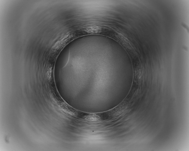 X0000101160652200807071159