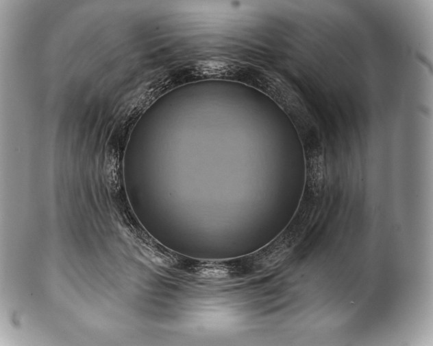 X0000101160653200807071159