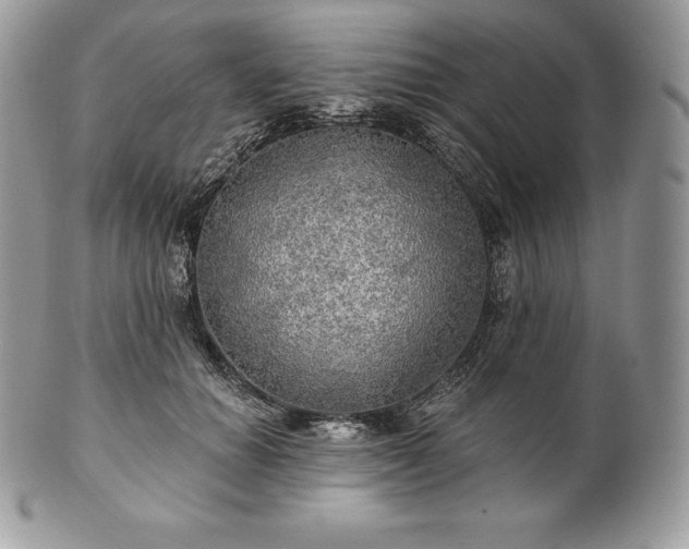 X0000101160654200807071159