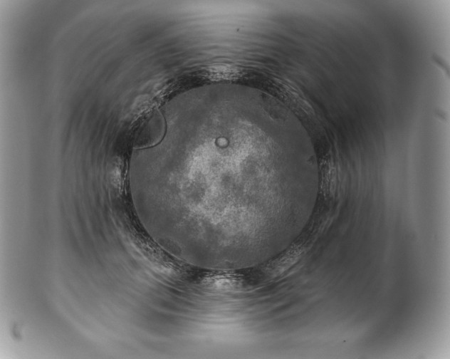 X0000101160655200807071159