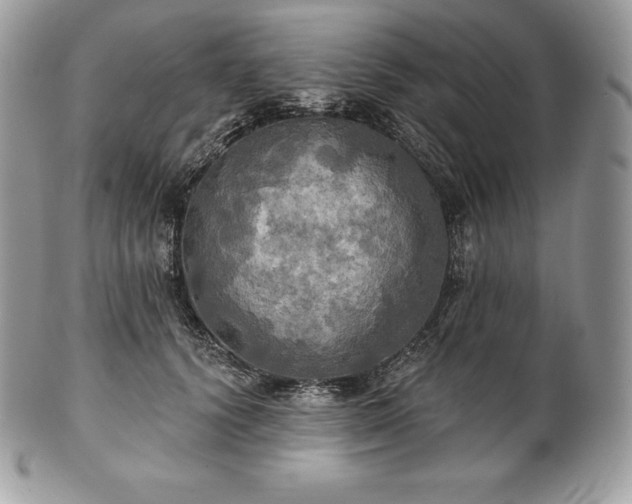 X0000101160656200807071159