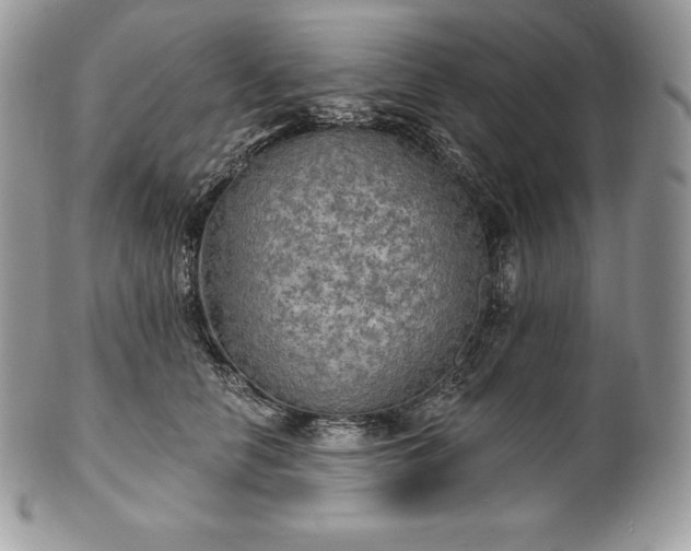 X0000101160658200807071159