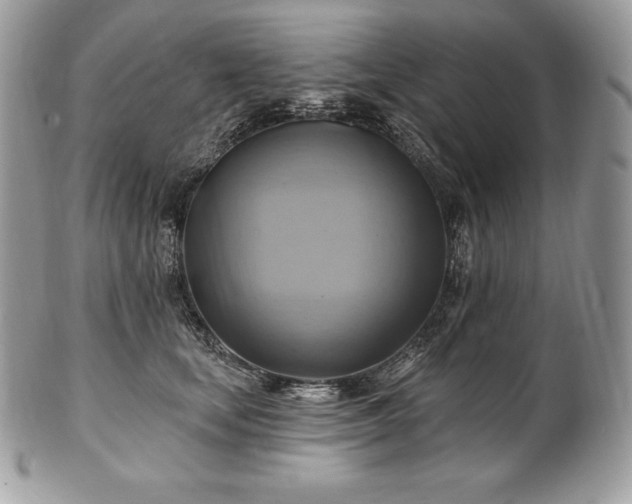 X0000101160659200807071159