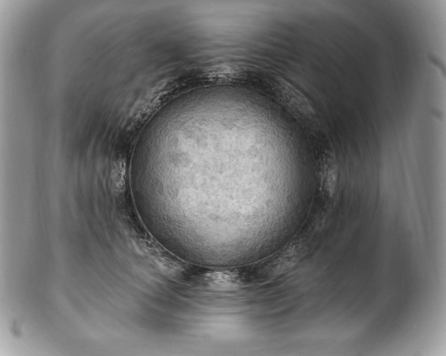 X0000101160660200807071159