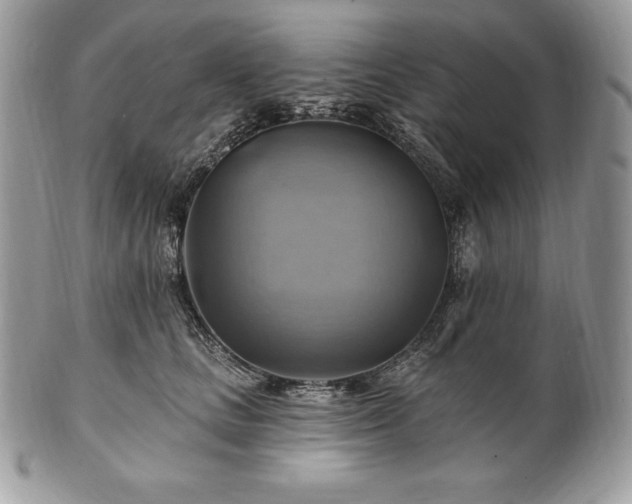 X0000101160661200807071159