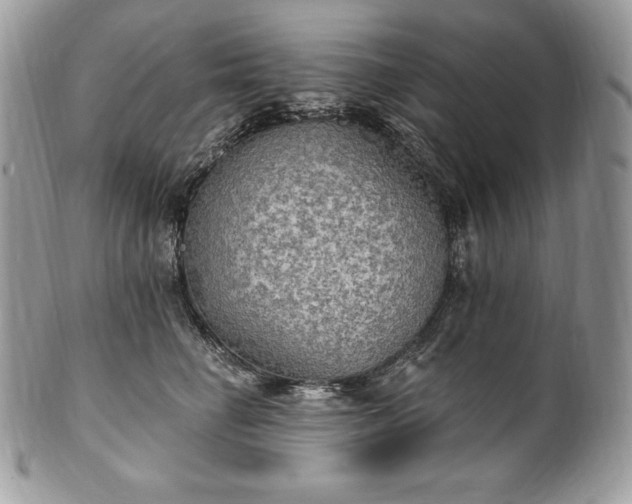 X0000101160662200807071159