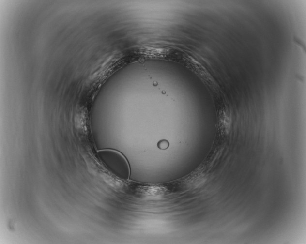 X0000101160663200807071159