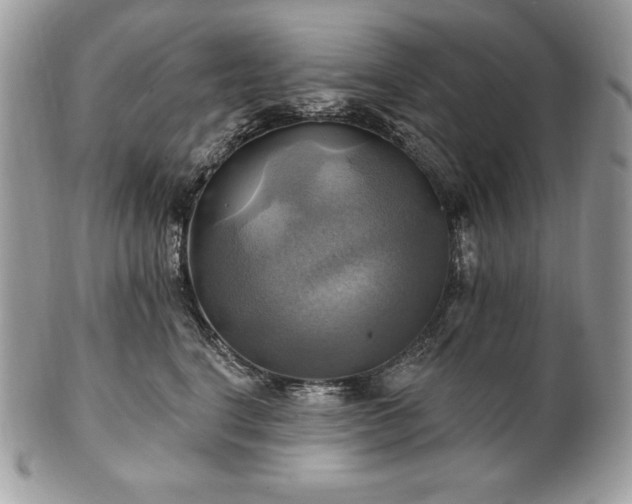 X0000101160664200807071159