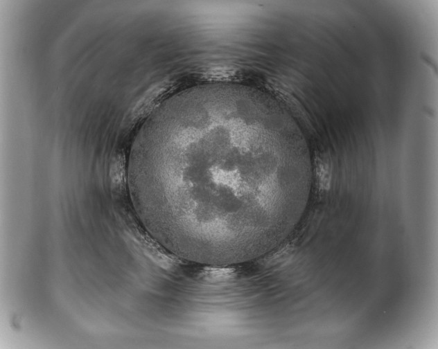 X0000101160665200807071159