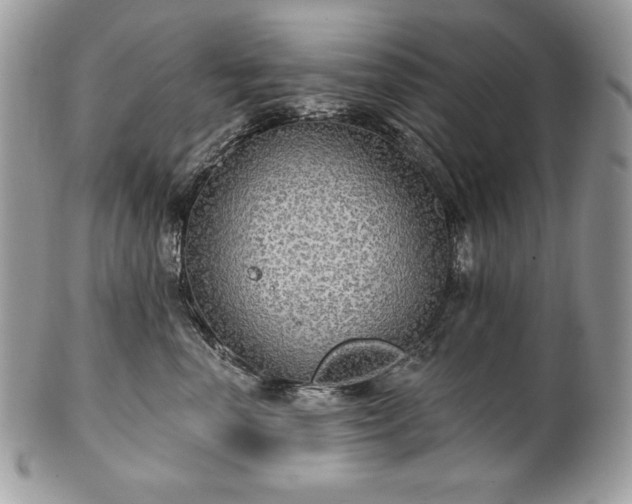 X0000101160666200807071159