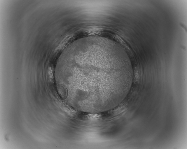 X0000101160667200807071159