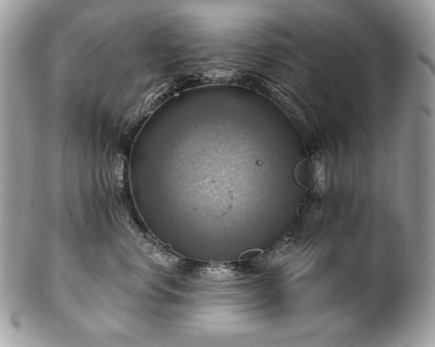 X0000101160668200807071159