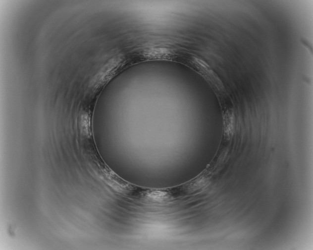 X0000101160669200807071159