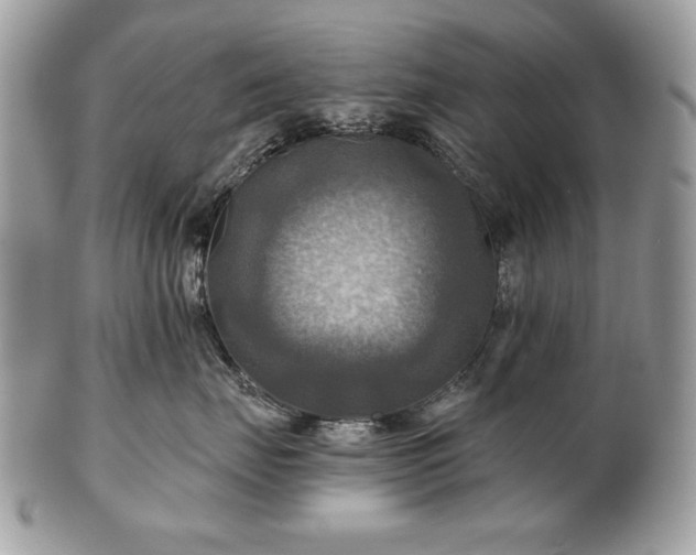 X0000101160671200807071159