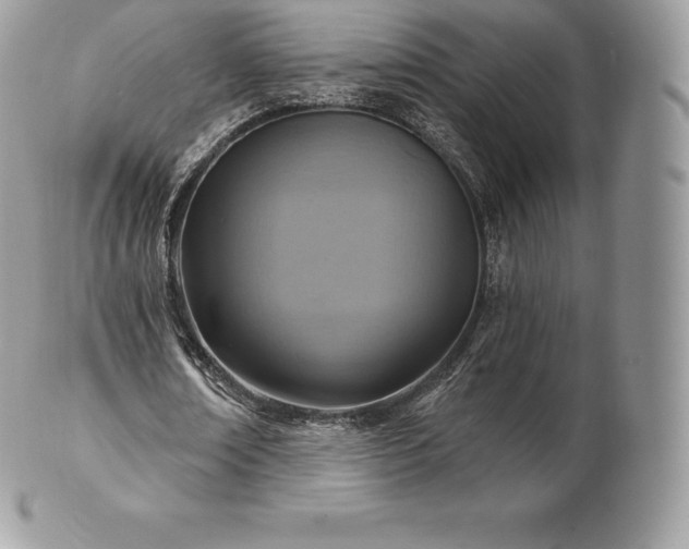 X0000101160674200807071158