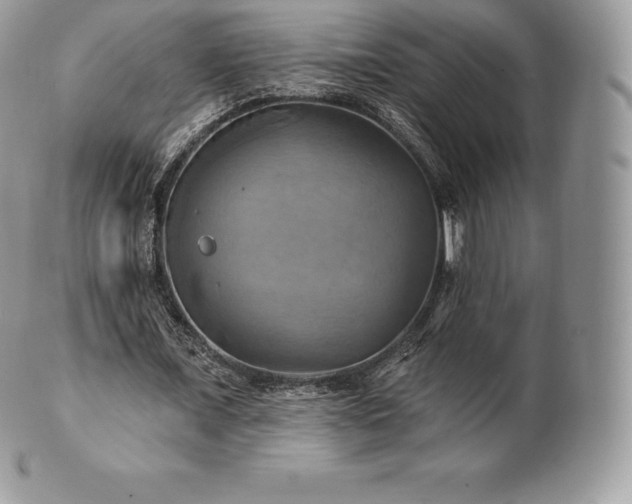 X0000101160675200807071158