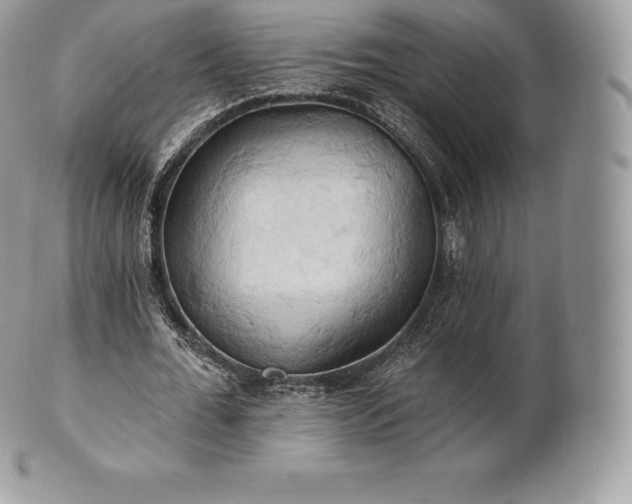 X0000101160676200807071158