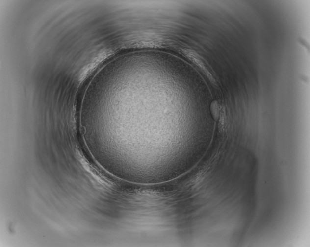 X0000101160677200807071158