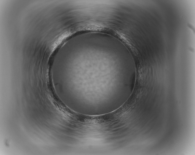 X0000101160679200807071158