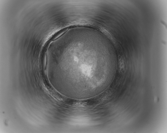 X0000101160680200807071158