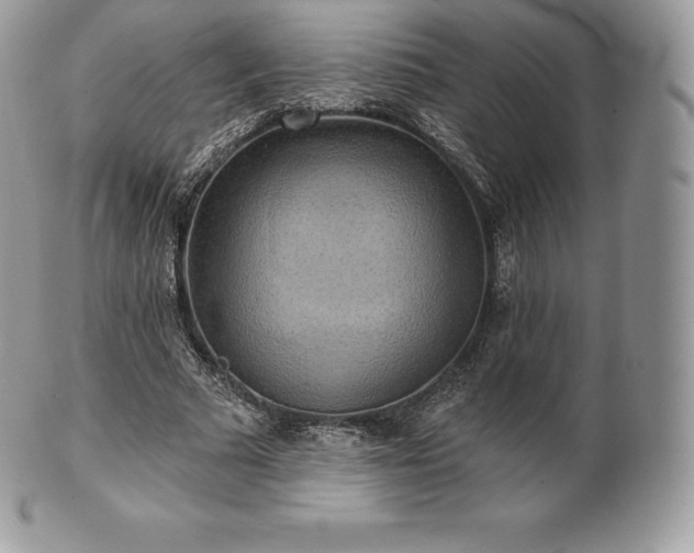 X0000101160681200807071158