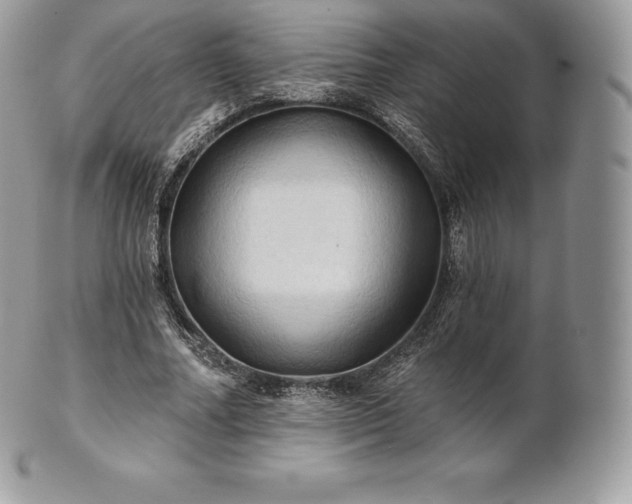 X0000101160682200807071158