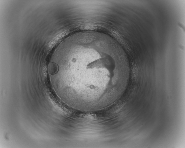 X0000101160683200807071158