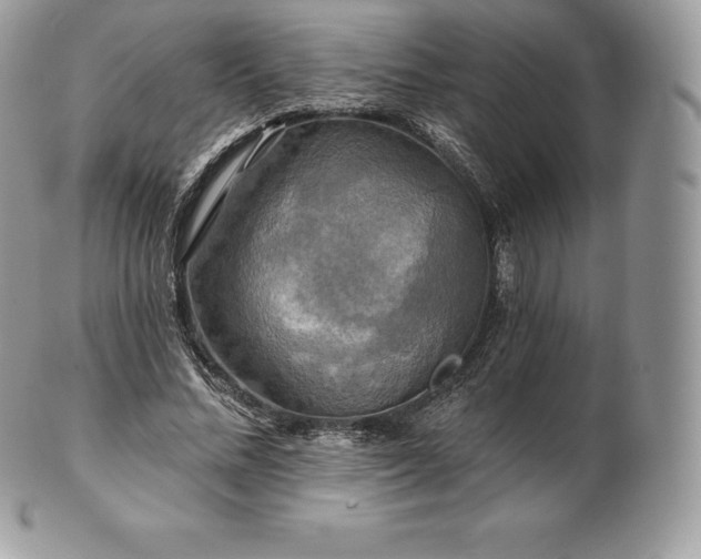 X0000101160684200807071158