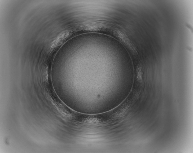 X0000101160685200807071158