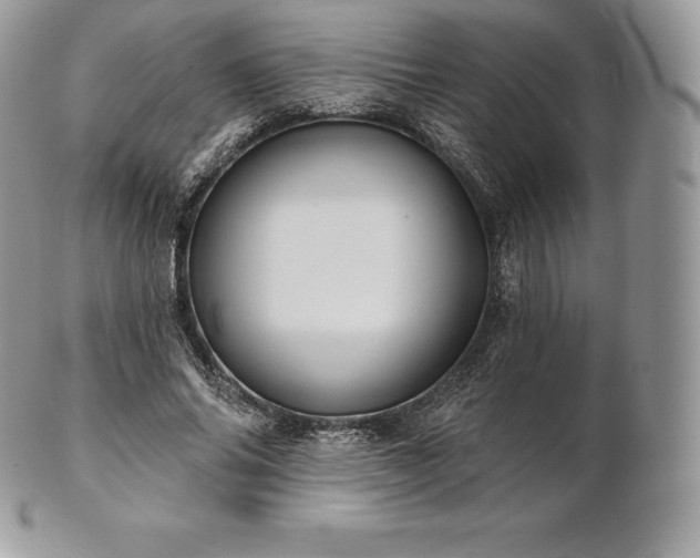 X0000101160686200807071158