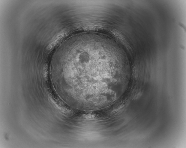 X0000101160687200807071158