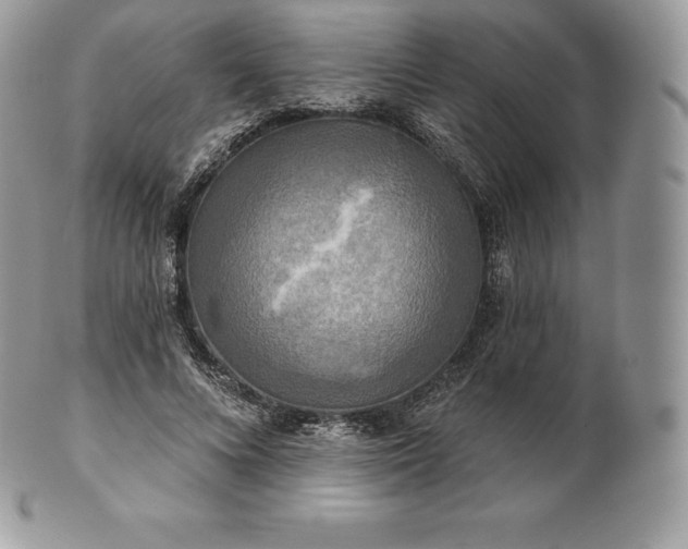 X0000101160688200807071158