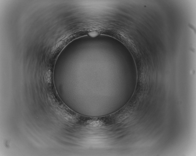 X0000101160689200807071158