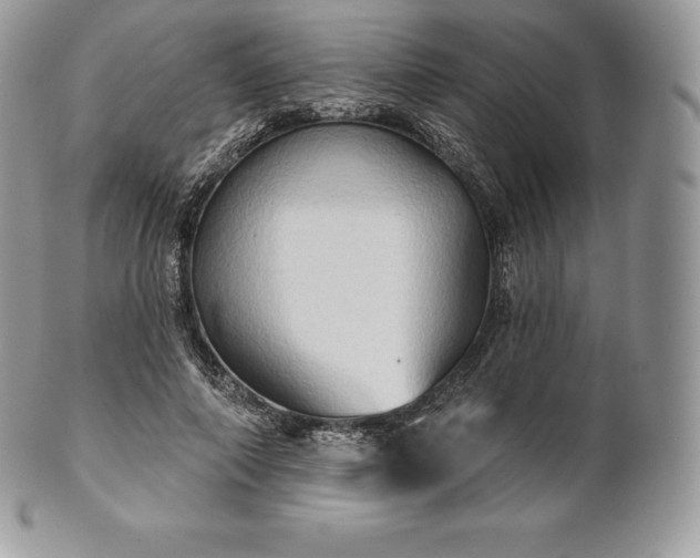 X0000101160690200807071158