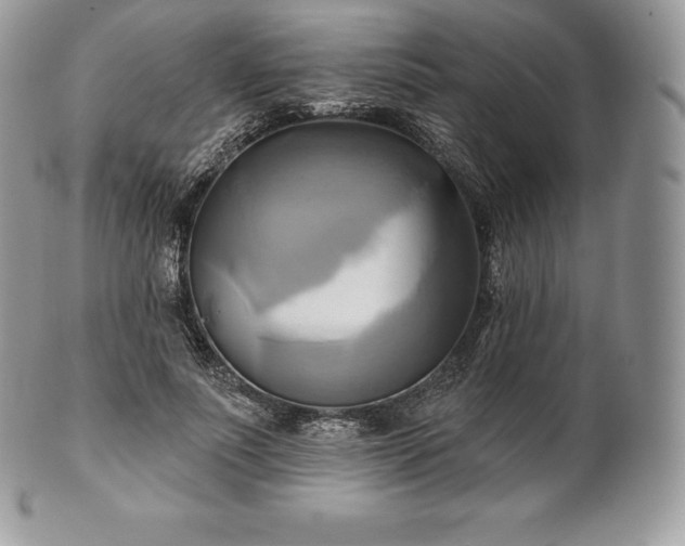 X0000101160691200807071158