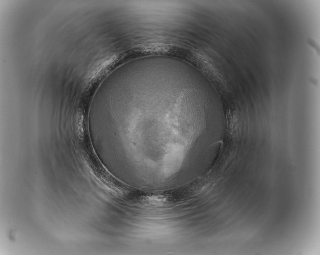 X0000101160692200807071158