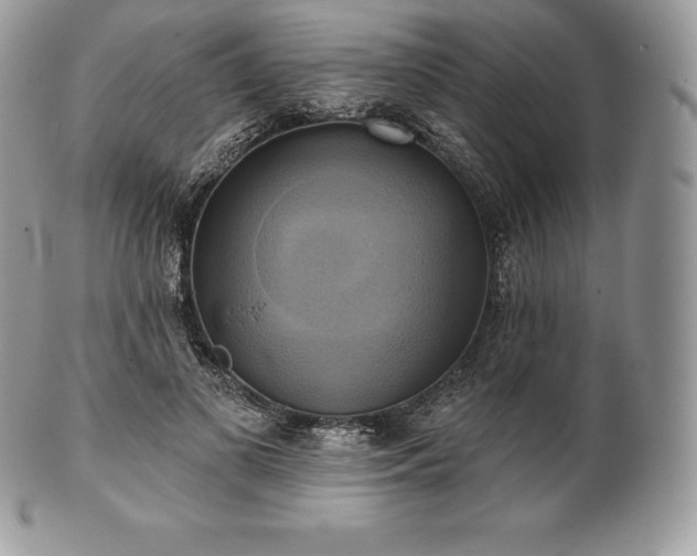 X0000101160693200807071158