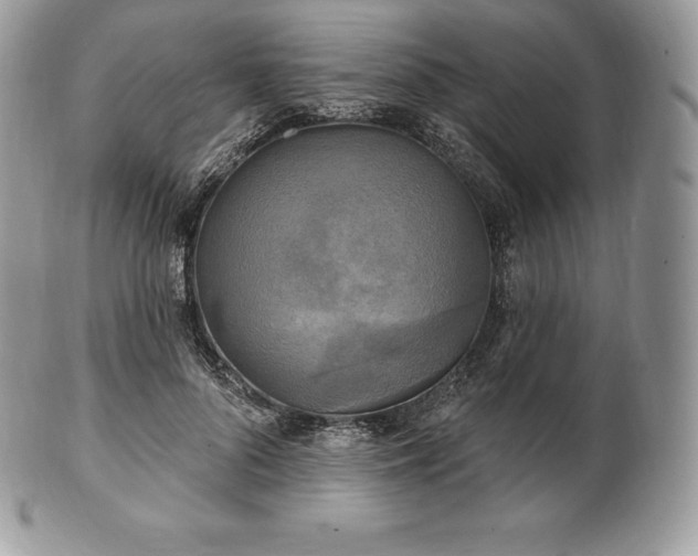 X0000101160696200807071158