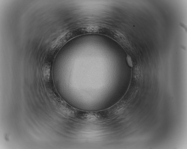 X0000101160697200807071158