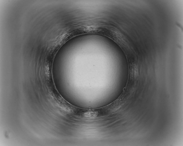 X0000101160700200807071158