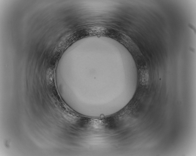 X0000101160701200807071158