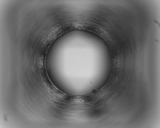 X0000101160702200807071158