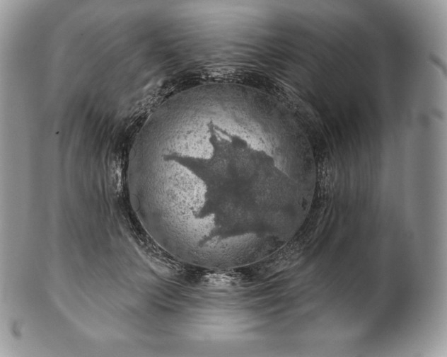 X0000101160703200807071158