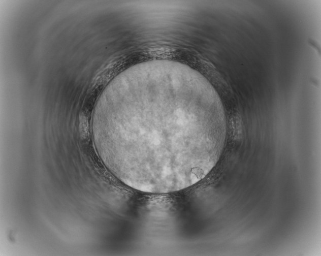 X0000101160705200807071158