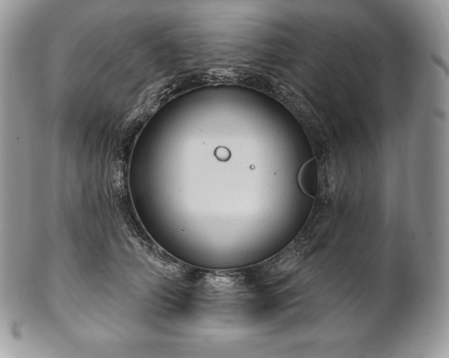 X0000101160706200807071158