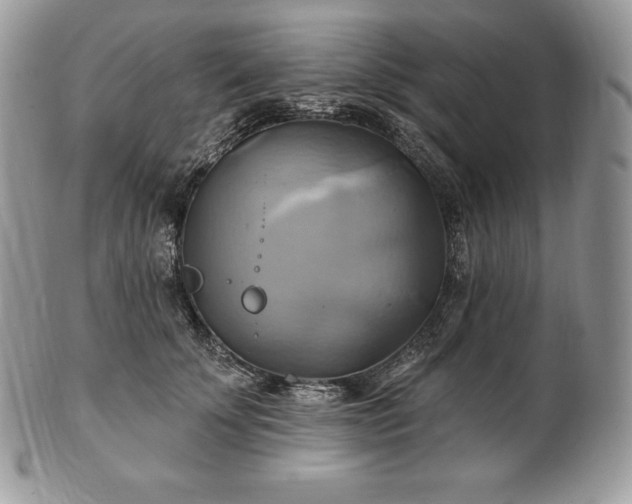 X0000101160707200807071158