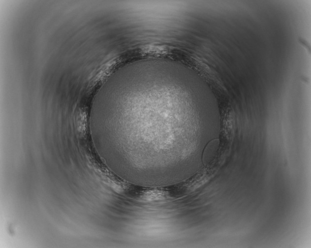 X0000101160708200807071158