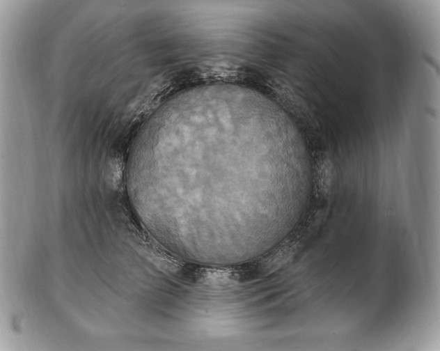 X0000101160709200807071158